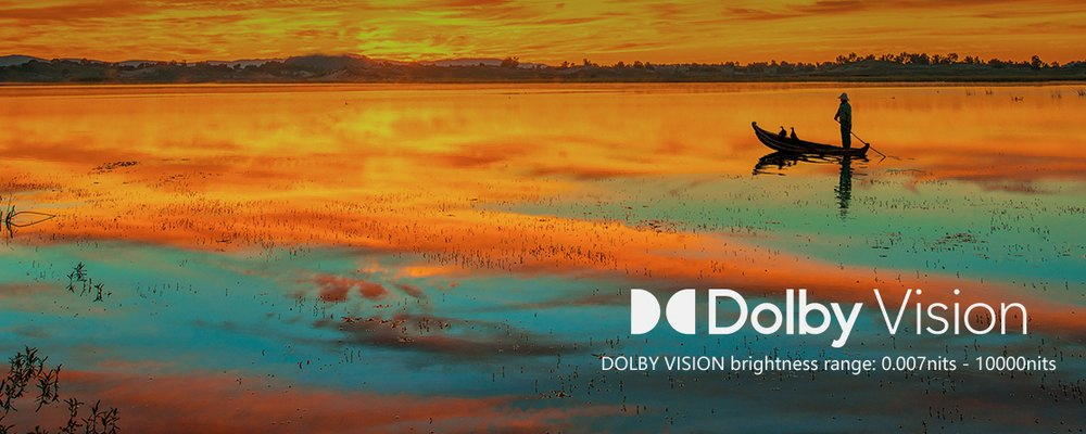 Dolby Vision VR10
